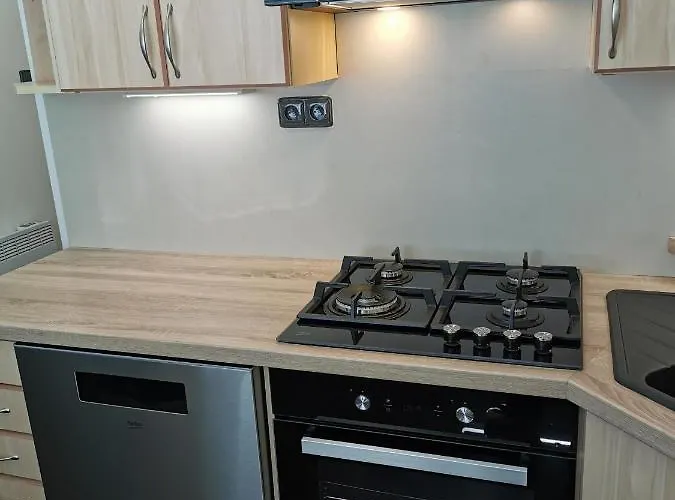 - 1+1 Apartment