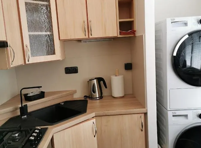 - 1+1 Apartment