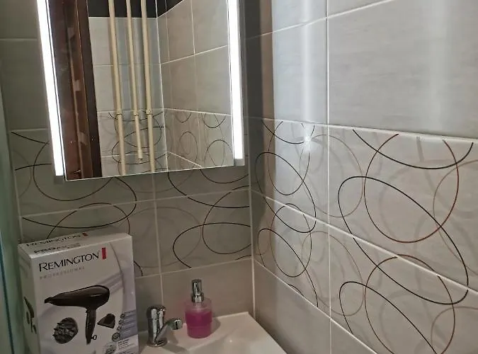- 1+1 Apartment Slaný