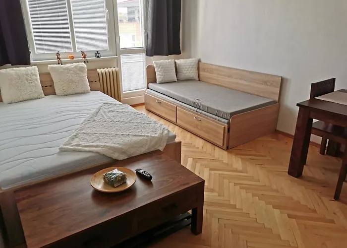 - 1+1 * Slaný